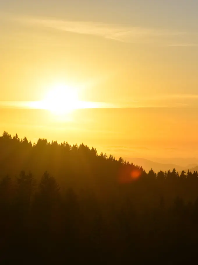 Jeremy Bezanger Mv5rlf7rwgw Unsplash